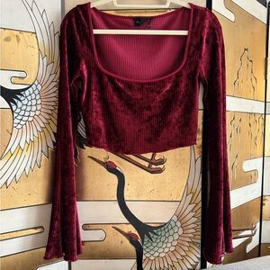 Urban Outfitters Velvet Square Neck Crop Top - Deep Red